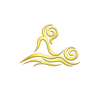 Silueta y Belleza logo