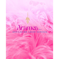 ARAMEA SPA  logo