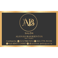 AB ALONSO BARRIENTOS HAIR STUDY logo
