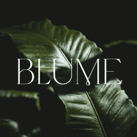BLUME wellness center logo