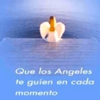 Centro Ángeles logo