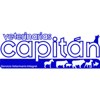 vetricardo79@gmail.com logo