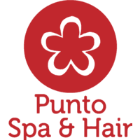PUNTO SPA HAIR  logo