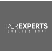 HAIREXPERTS logo