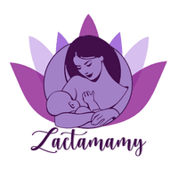 lactomamichile@gmail.com logo