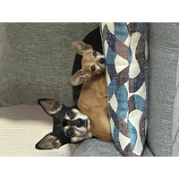 aideth.escudero@hotmail.com logo