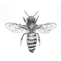 Ciudad tatuajes logo