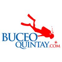Buceo Quintay logo