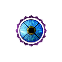 Lumina Espacio Holistico logo