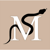 Medusa Estudio  logo