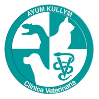 Veterinaria Ayum Kullym logo