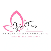 GineFem Ginecologia y Obstetricia  logo