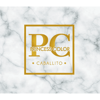 Salón de Belleza Princess Color Caballito  logo