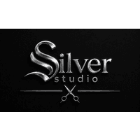 Silver Studio logo