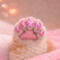 Mis uñas lindas logo