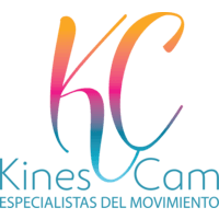 Kines Cam logo