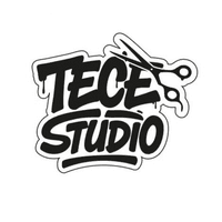 TECESTUDIO logo