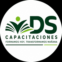 DS Capacitaciones logo