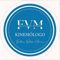 Kinesiólogo / Fisioterapeuta de Fabian Vildoso logo