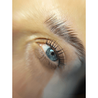 CandeBeauty by zebra studio  logo