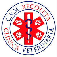 CVM Recoleta Dra. Daniella Herrea logo