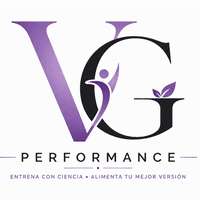 VGPerformance logo