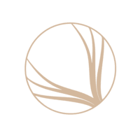 Centro Estético Trigo  logo