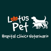 Hospital Clínico Veterinario LotusPet logo