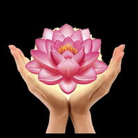 MARIA MAGDALENA CENTRO DE ESTETICA LA BELLEZA DEL ALMA logo