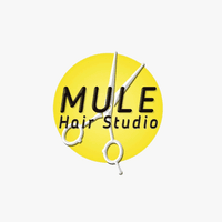 Mule Hair Studio  logo