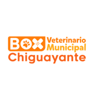 SERVICIOS VETERINARIOS MUNICIPALIDAD DE CHIGUAYANTE logo