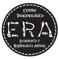 Centro Imagenologico ERA logo
