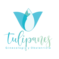 Salud Tulipanes logo