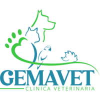GEMAVet Clinica Veterinaria logo
