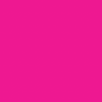 Nailsxsofi logo