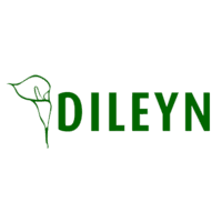 Dileyn Peluquería y Salon de Belleza logo