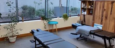 Flow Quiropractic interior