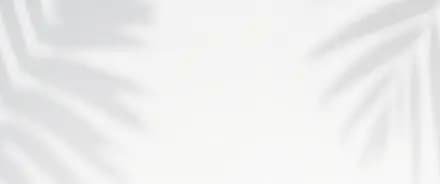 VIP Harmony interior