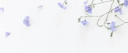 Francisca Trinidad Depilación Láser interior