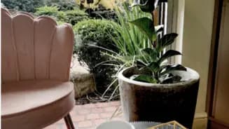 VELVET GABINETE ESTÉTICO interior