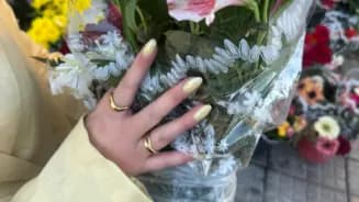 Boah Benito Lamas 2700 interior