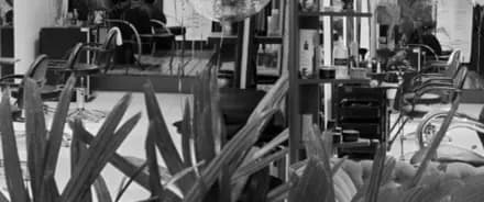 De La Cruz Styling Expert interior