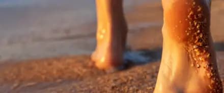 Bloom Santo Domingo interior