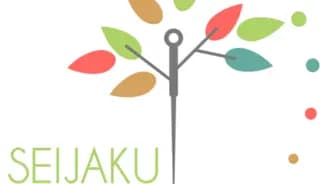 Seijaku Acupuntura Integrativa interior