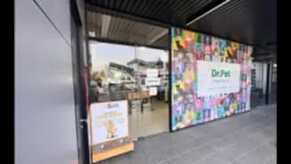 Dr. Pet Pie Andino, Lo Barnechea interior