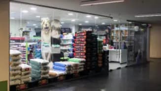 Dr. Pet Consistorial, Peñalolen interior