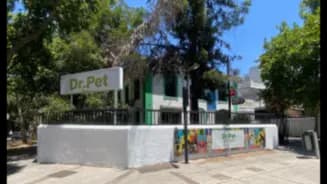 Dr. Pet Los Leones, Providencia interior