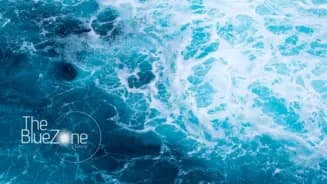 Clínica The BlueZone interior