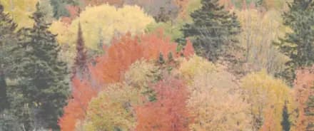 Dra. Jacqueline interior