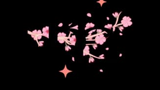 BEAUTY’S GARDEN interior